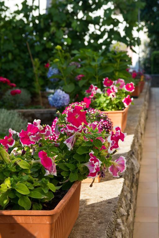 Apartment Nikolina Mali Lošinj Екстериор снимка